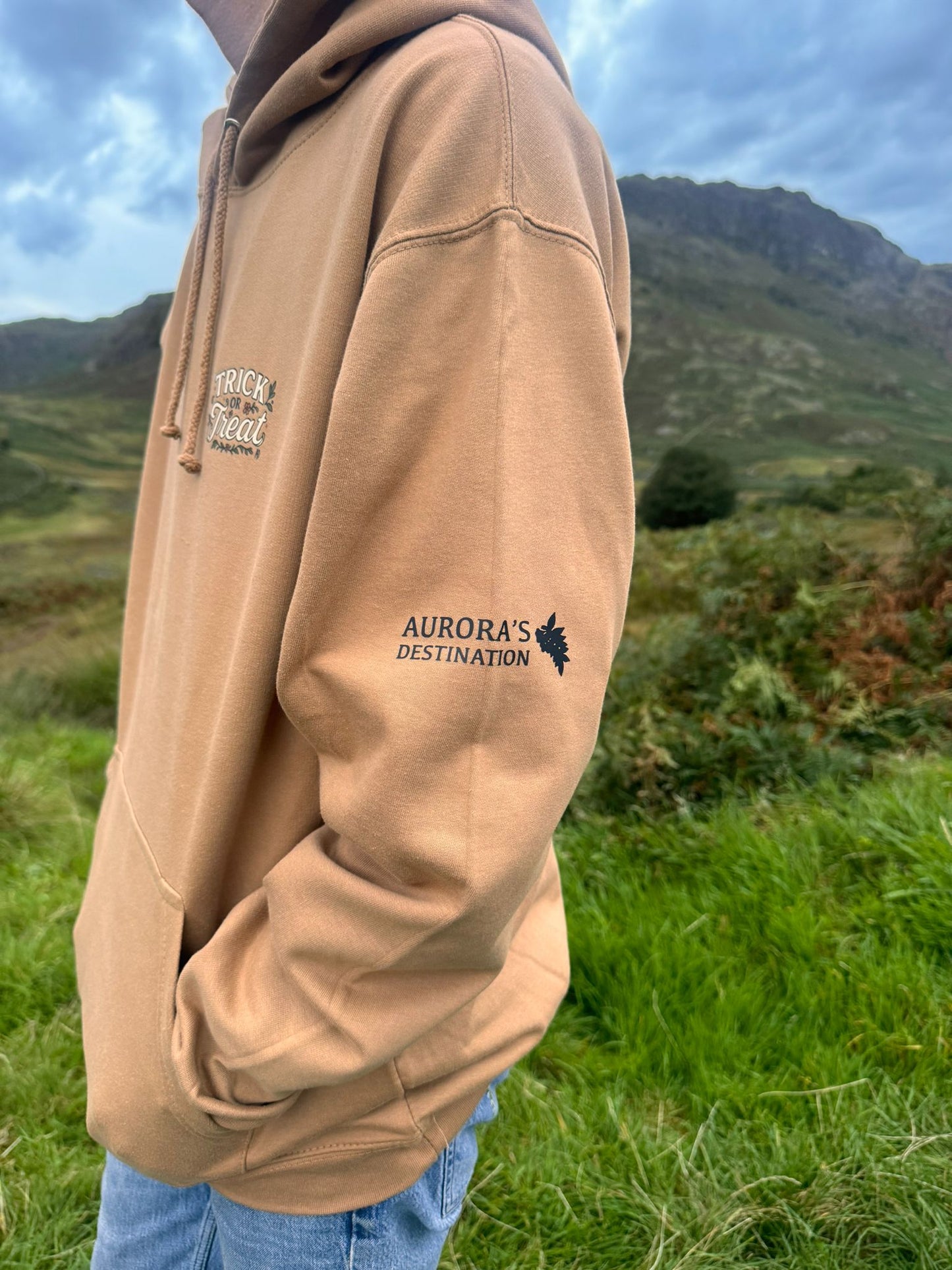 Pumpkins, Bats and Autumn Florals. Trick or Treat Hoodie