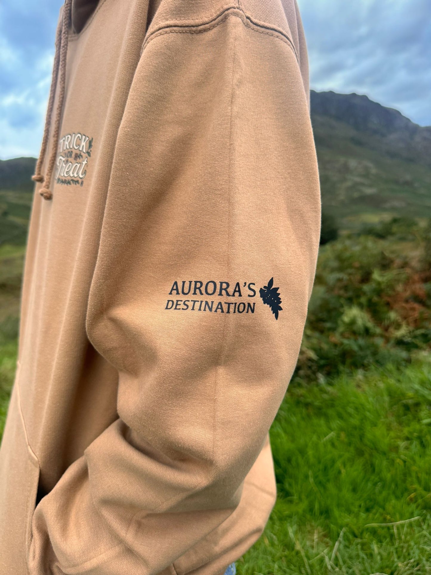 Pumpkins, Bats and Autumn Florals. Trick or Treat Hoodie