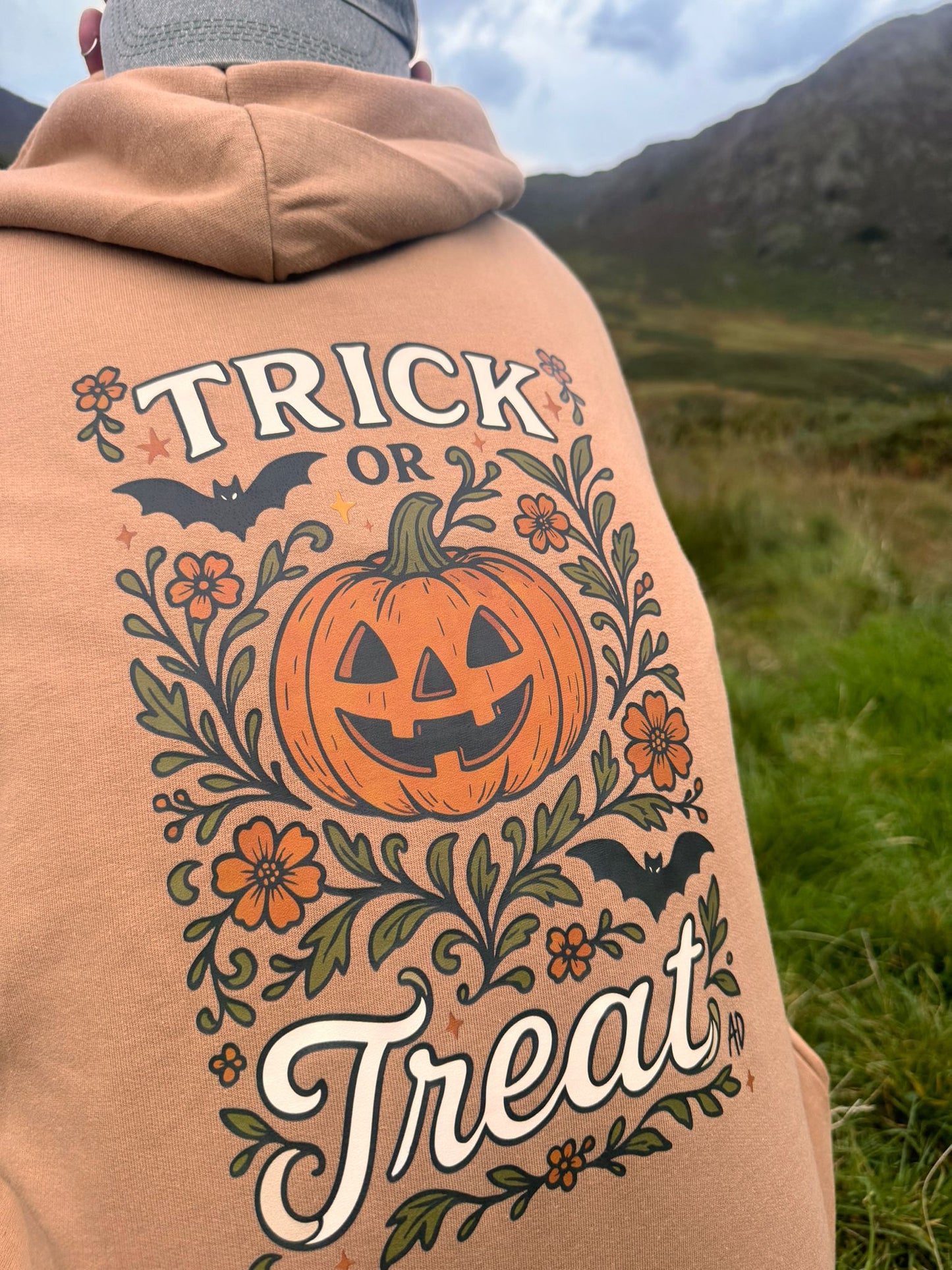 Pumpkins, Bats and Autumn Florals. Trick or Treat Hoodie