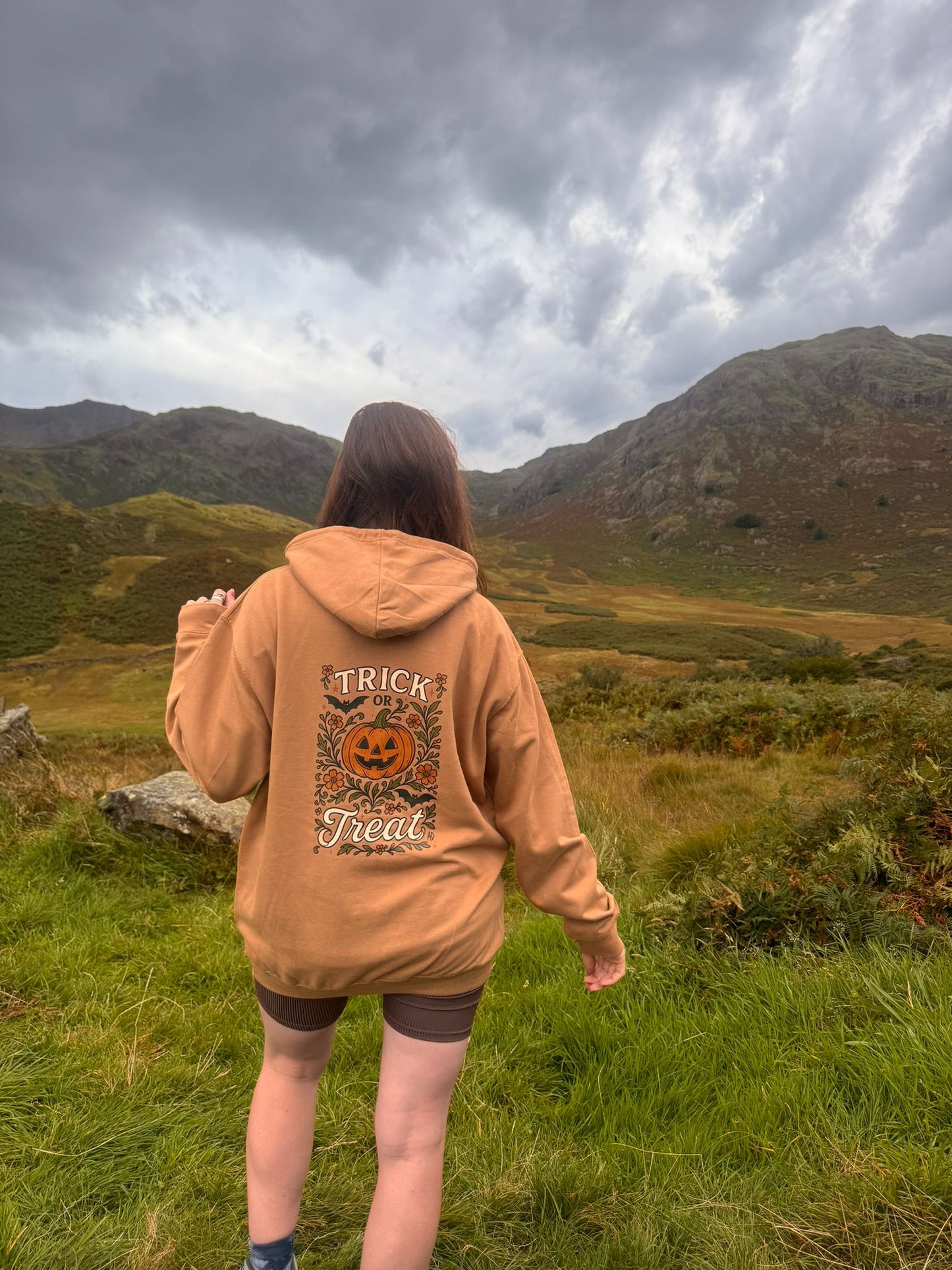 Pumpkins, Bats and Autumn Florals. Trick or Treat Hoodie