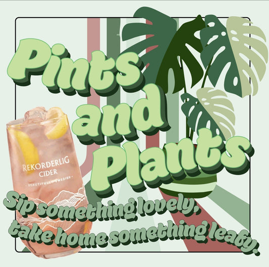 What's in the Pipeline: New Products and Events